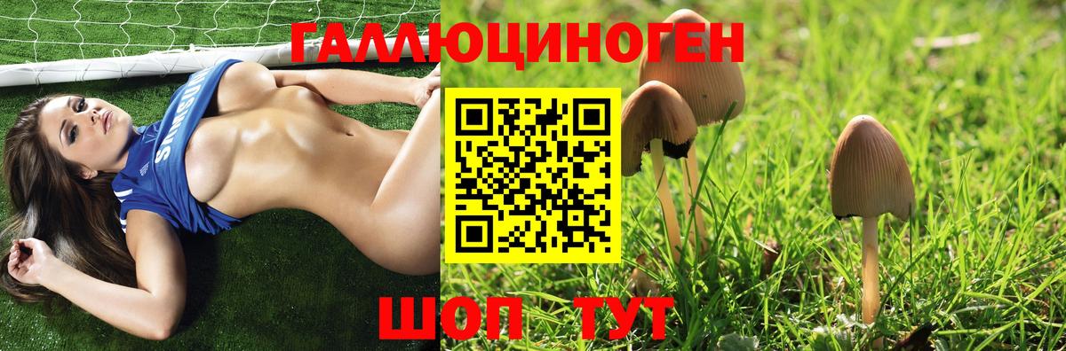 Галлюциногенные грибы Magic Shrooms  Вход с VPN  Кимовск 